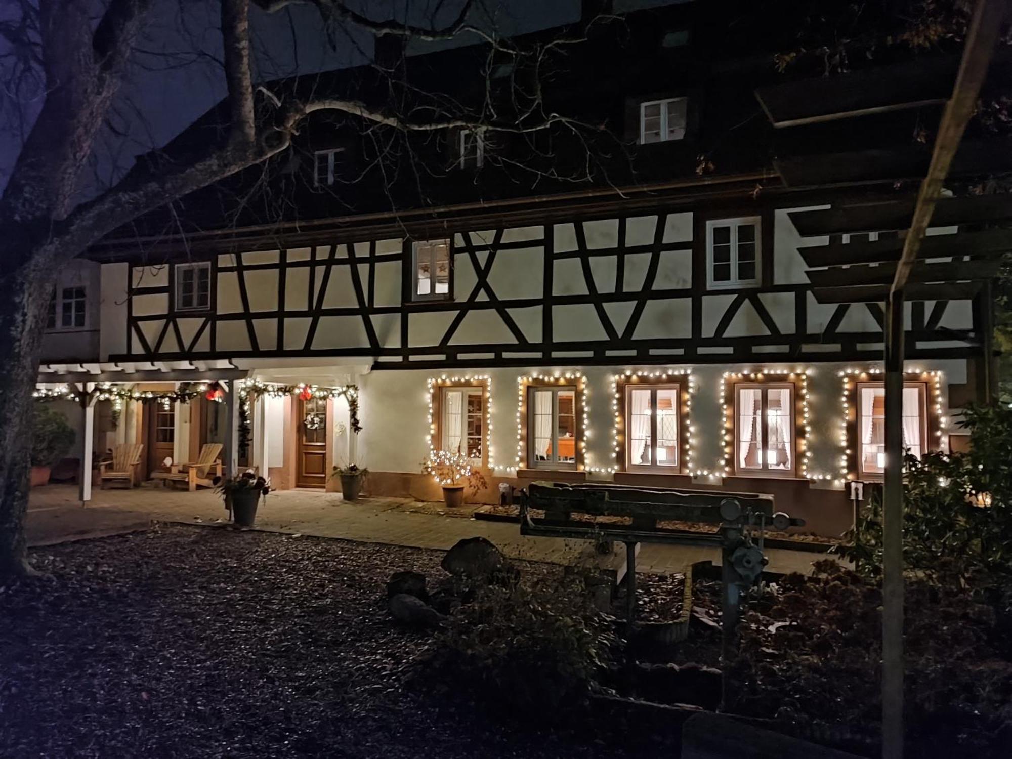 Boutique-Hotel Krone Denzlingen Eksteriør billede