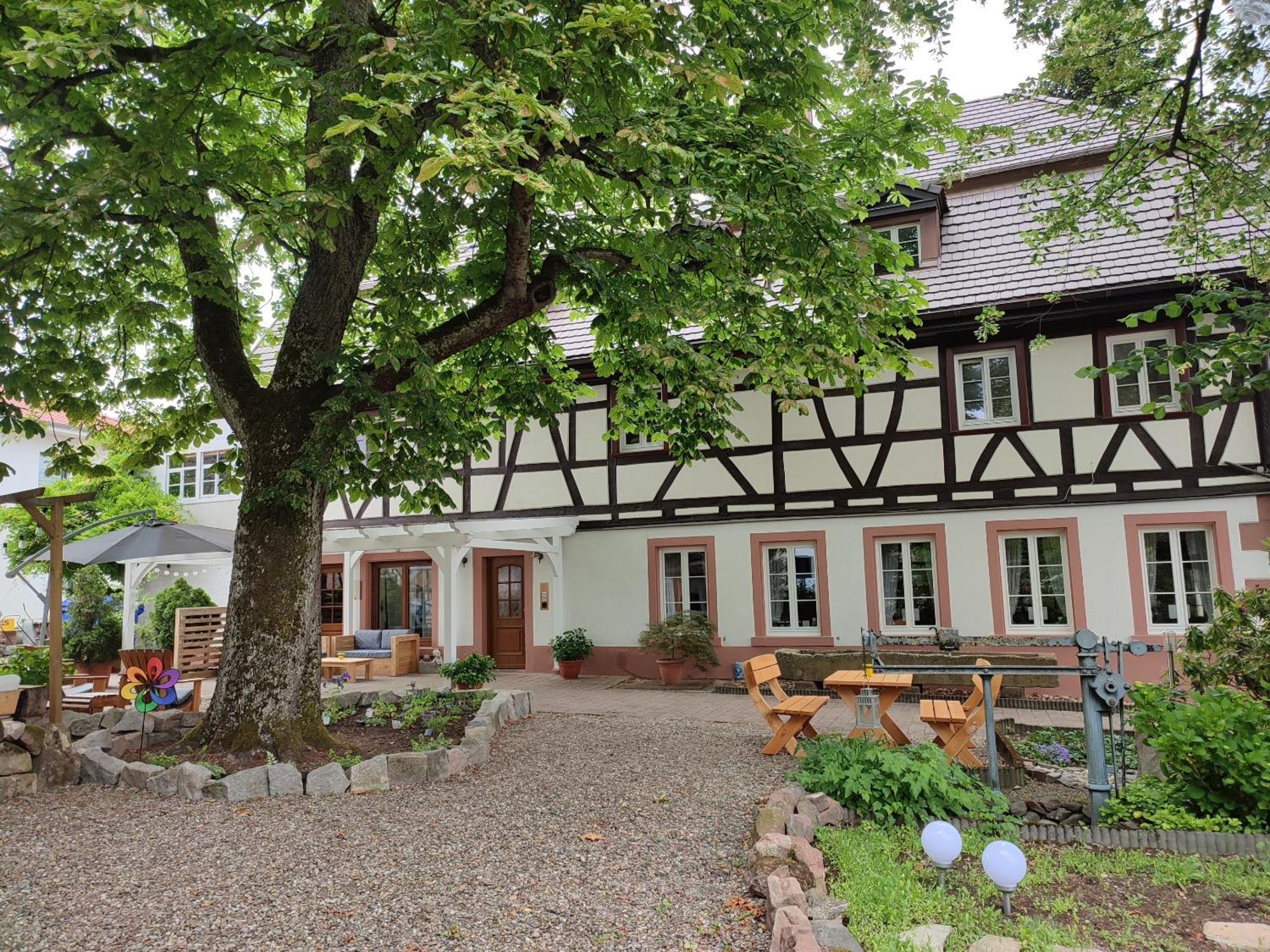 Boutique-Hotel Krone Denzlingen Eksteriør billede